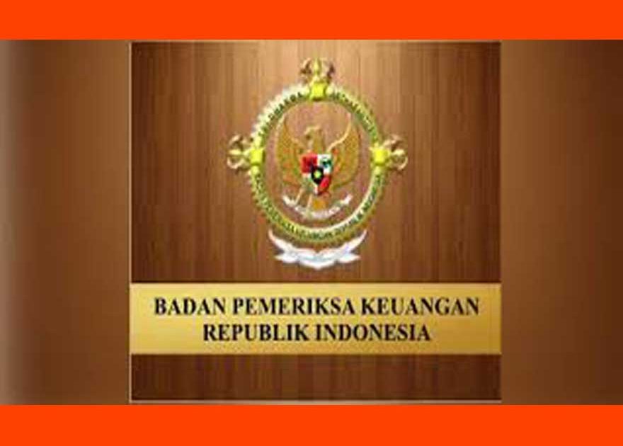Bupati Serahkan LKPD ke BPK