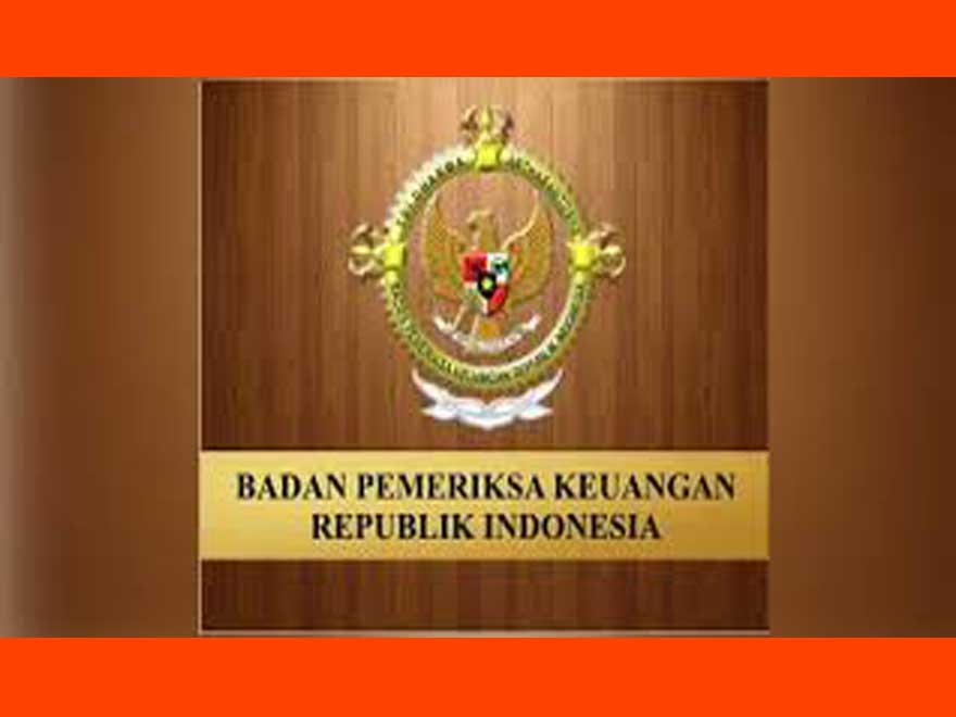 Bupati Serahkan LKPD ke BPK