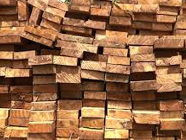 Dokumen Truk Bermuatan 31 Kubik Kayu Masih Diselidiki