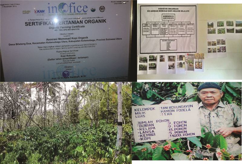 areal Perkebunan Kopi Organik Kota Kotamobagu