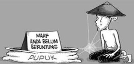 Foto Ilustrasi Kelangkaan Pupuk