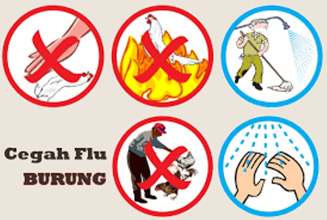 Distan Bolmong Antisipasi Serangan Flu Burung