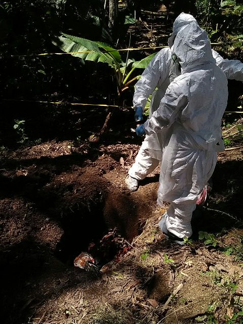 Dinkes Lakukan Sosialisasi Pencegahan Flu Burung