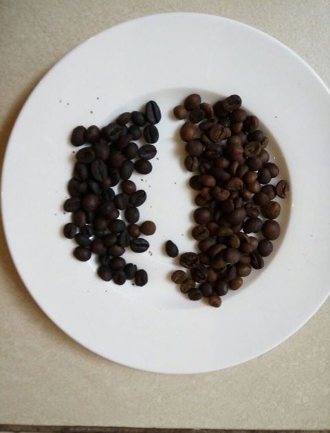 Eksportir Minta Tingkatkan Kualitas “Grean Bean” Kopi Kotamobagu