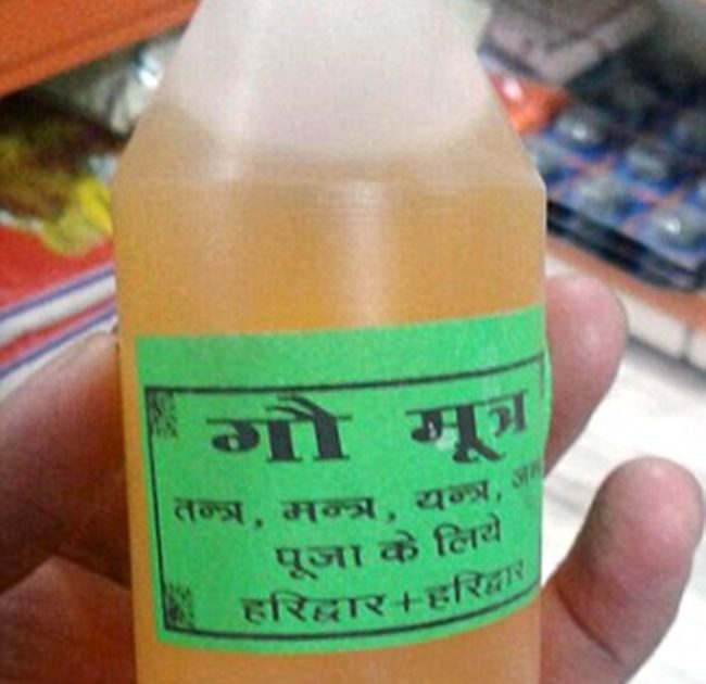 Benarkah Urine Sapi dapat Mengatasi Jerawat dan Berbagai Penyakit?