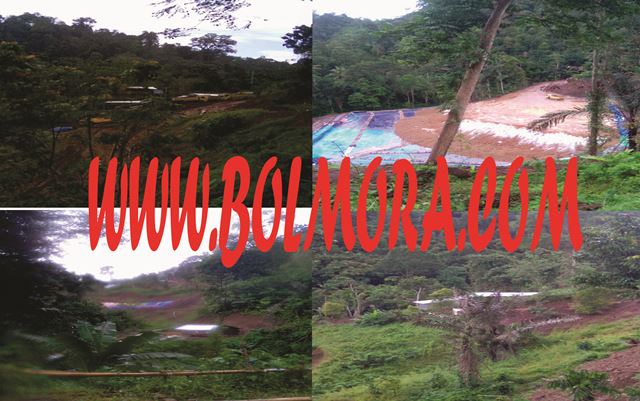 Tak Kantongi Izin, Aktivitas Pertambangan Inkopad di Monsi Tuai Sorotan