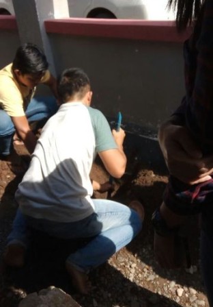 BPK Mulai Lakukan Uji Petik Kegiatan Fisik