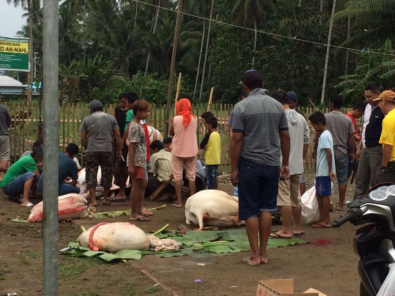 KPP Pratama Kotamobagu Sembelih hewan Kurban di Masjid Al Nahl Poyowa Kecil