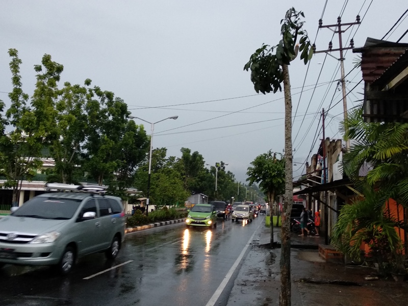 Menurut Tatong, pohon-pohon tersebut di tanam oleh Pemerintah Kota (Pemkot) Kotamobagu bertujuan untuk mengurangi polusi yang disebabkan oleh kendaraan bermotor