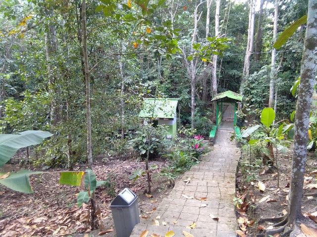 Potensi Wisata Hutan Kota Akan Dikembangkan