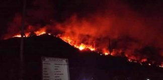 Ini Dugaan Sementera Penyebab Kebakaran Hutan di Desa Inobonto