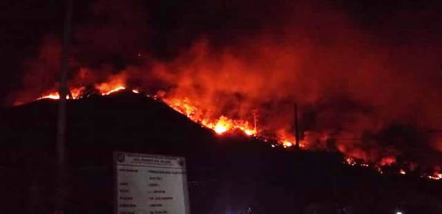 Ini Dugaan Sementera Penyebab Kebakaran Hutan di Desa Inobonto