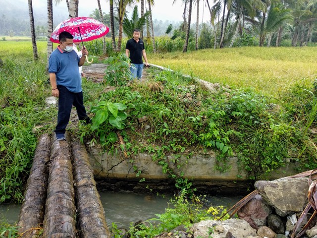 Hujan-hujanan, Wawali Periksa Jembatan Anggaran Dandes 2017 yang Dikeluhkan Masyarakat