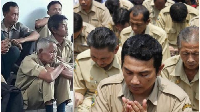 Tenaga Honorer Pemerintah Setara PNS, Rekrutmen Dimulai 2019