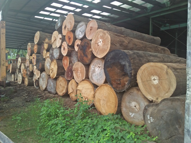 Terkait Tudingan Penyebab Banjir, Ini Penjelasan PT Huma Sulut Lestari