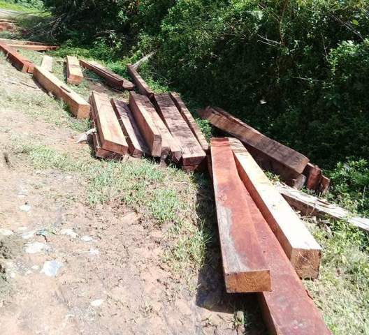 Polres Kotamobagu Akan Tindak Mafia Illegal Logging