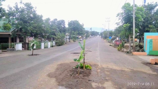 Protes Jalan Rusak, Warga Upai Tanam Pohon Pisang