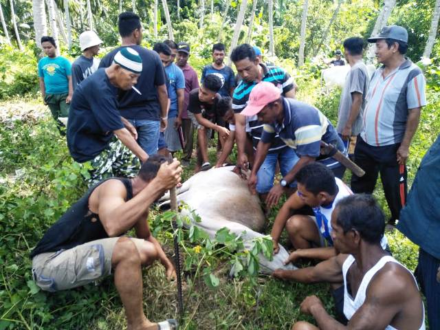 Masyarakat Desa Bulawan Induk Kumpul Dana Pembelian Hewan Kurban