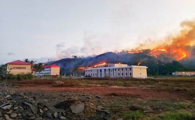 Bukit Depan PT Conch Terbakar