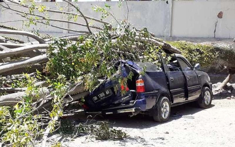 Angin Kencang Melanda Bolmong, Dua Mobil Tertimpa Pohon