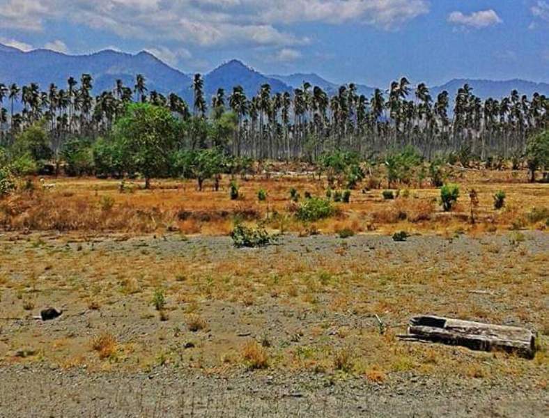 Kekeringan di Wilayah Pantura Bolmong Kian Parah