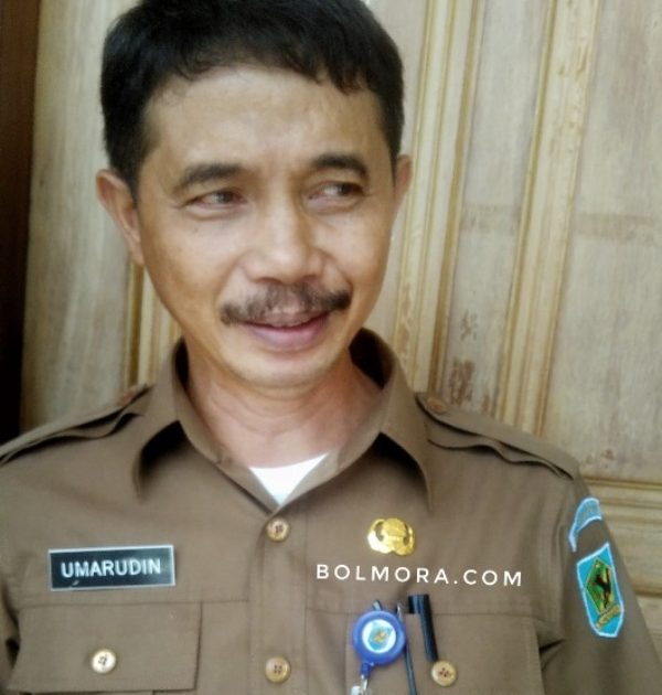 Pemkab Bolmong Rekrut 30 Auditor Baru, Lihat Persyaratannya