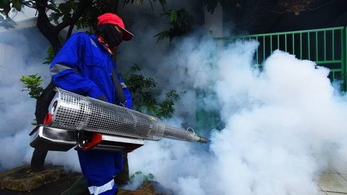 Waspada DBD, Masyarakat Desa Bunong Minta Fogging