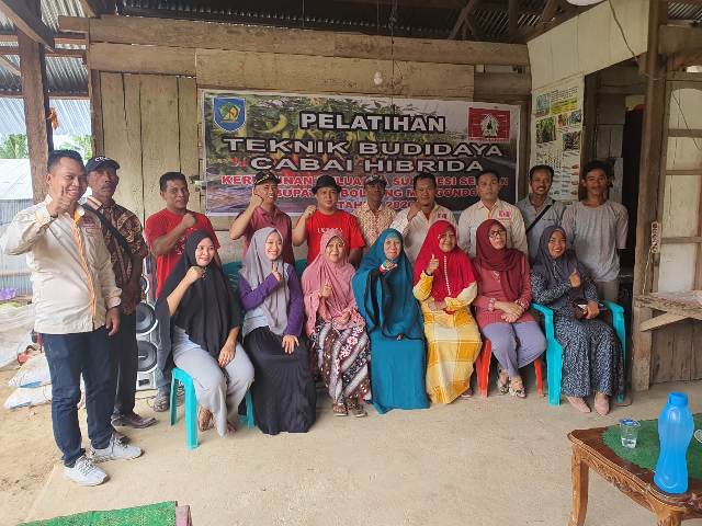 KKSS Bolmog Gelar Pelatihan Teknologi Budidaya Tanaman Cabai