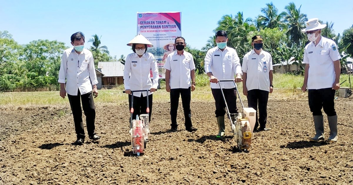 Di saat daerah lain kebingungan mehadapi wabah virus corona atau Covid-19, Kabupaten Bolaang Mongondow (Bolmong) justru sudah mantap dengan konsep ketahanan pangan