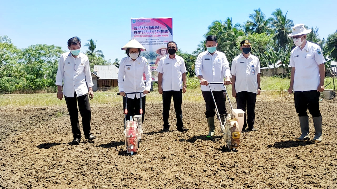 Di saat daerah lain kebingungan mehadapi wabah virus corona atau Covid-19, Kabupaten Bolaang Mongondow (Bolmong) justru sudah mantap dengan konsep ketahanan pangan