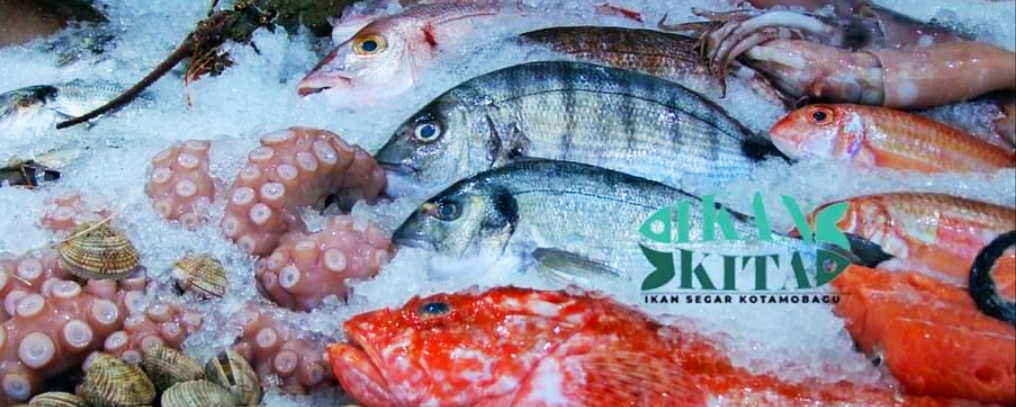 Ikan Kita Diminati Masyarakat Kotamobagu