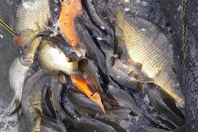 Warga Poyowa Besar Ini Terus Kembangkan Potensi Perikanan