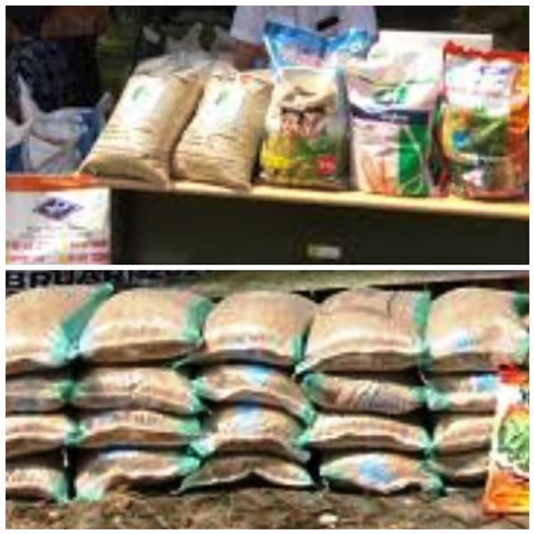 Kabid Tanaman Pangan dan Holtikuktura Nadra Husain