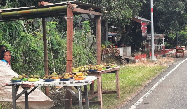 Buah Mangga di Bolmong Murah, Lapak Dadakan Bermunculan
