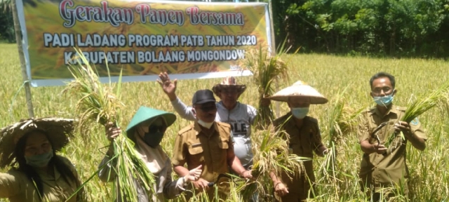 Pemkab Bolmong Panen Padi di Masa Pandemi Covid-19
