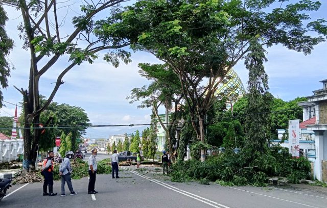 Antisipasi Pohon Tumbang, DLH Kotamobagu Lakukan Pemangkasan di Jalan Ahmad Yani