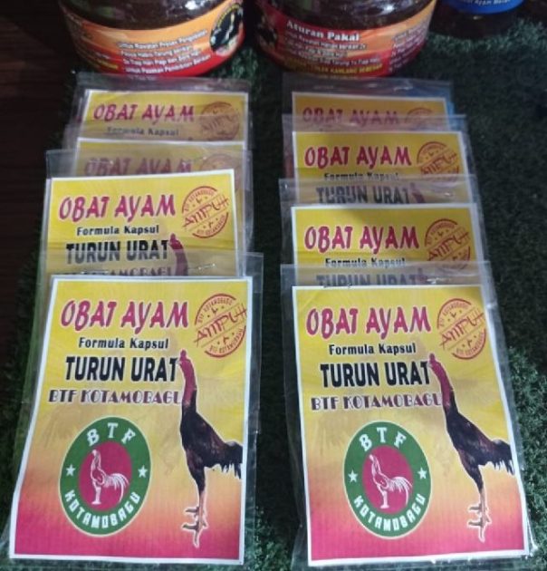 Peternakan BTF Kotamobagu Ciptakan Obat Untuk Ayam Turun Urat