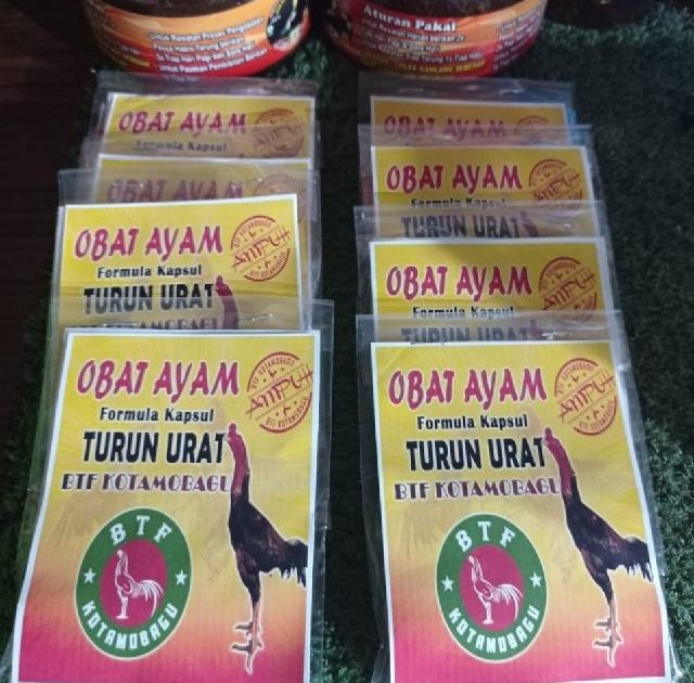 Peternakan BTF Kotamobagu Ciptakan Obat Untuk Ayam Turun Urat