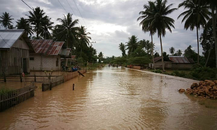 Antisipasi Banjir Pemkab Seruhkan Gerakan Semesta Hijau