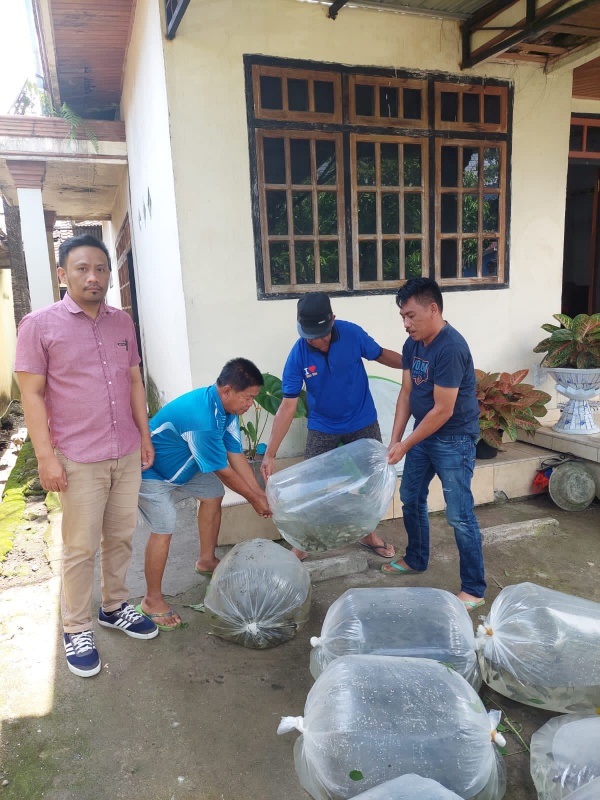 Dinas Perikanan Boltim Mulai Serahkan Bibit Ikan Dari BBI Bukaka