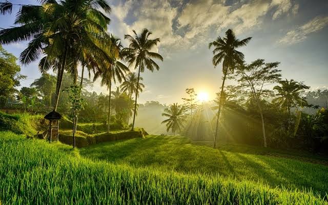 Di Kecamatan Sangkub Ada Tiga Desa Damai Zero Kriminal