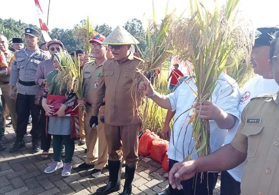 Gapoktan Pangian Tengah Menerima Bantuan Traktor dan Padi Varietas Suppadi 89, Limi Sebut Ini Tujuan Pemerintah