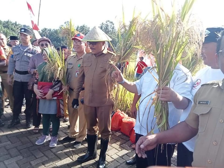 Gapoktan Pangian Tengah Menerima Bantuan Traktor dan Padi Varietas Suppadi 89, Limi Sebut Ini Tujuan Pemerintah