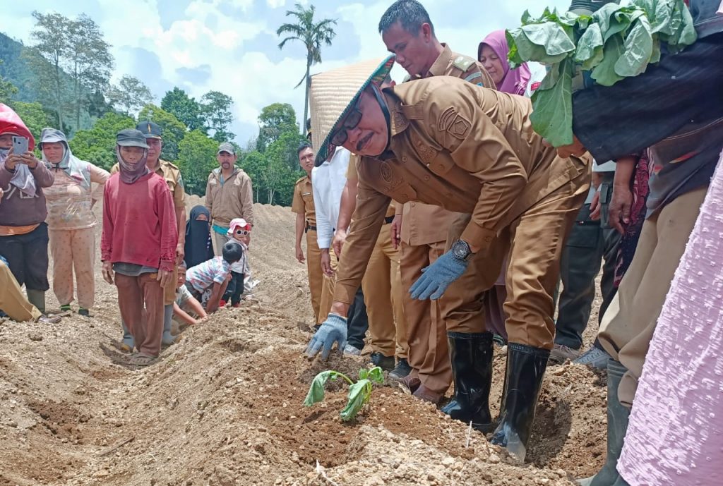 Tanam Hortikultura Bersama Petani Insil, Limi Wujudkan Kedaulatan Ketahanan Pangan