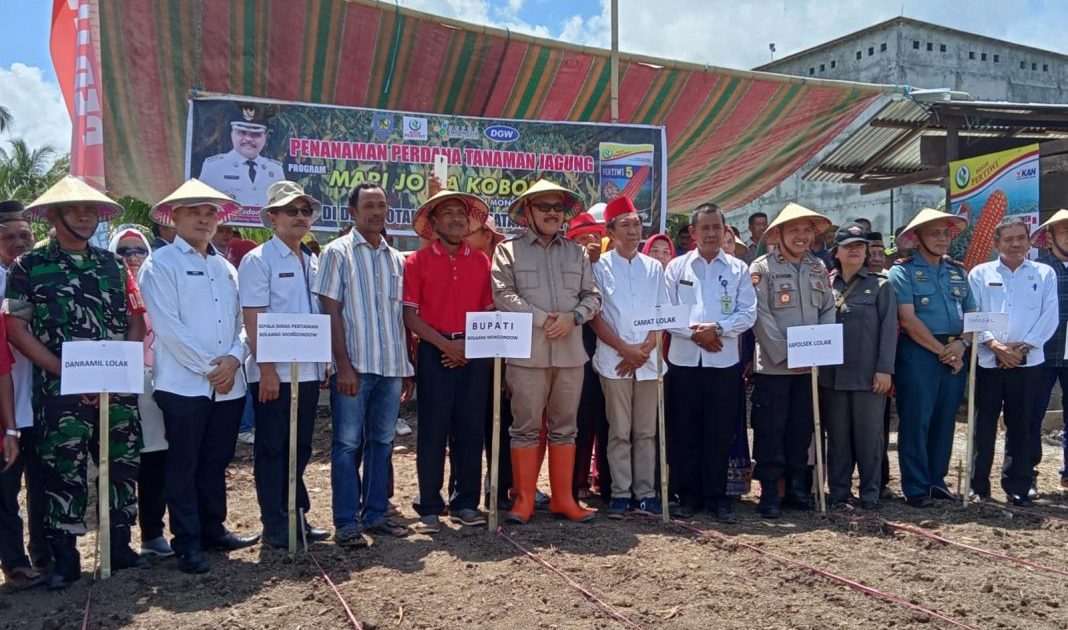 Limi Mokodompit Tanam Benih Jagung di desa Totabuan