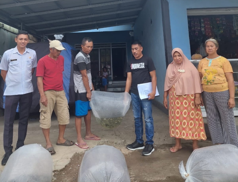 Dinas Perikanan Boltim Kembali Salurkan Hasil Pembibitan Nila di BBI Bukaka