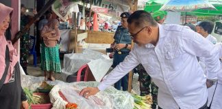 Pj Bupati Bolmong Limi Mokodompit Cek Harga Bapok di Pasar Lolak