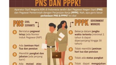 PPPK tidak bisa mutasi