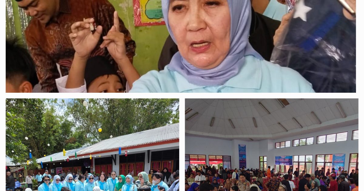 Program Presiden RI