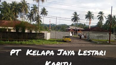 Pelanggaran HAM di PT KJL